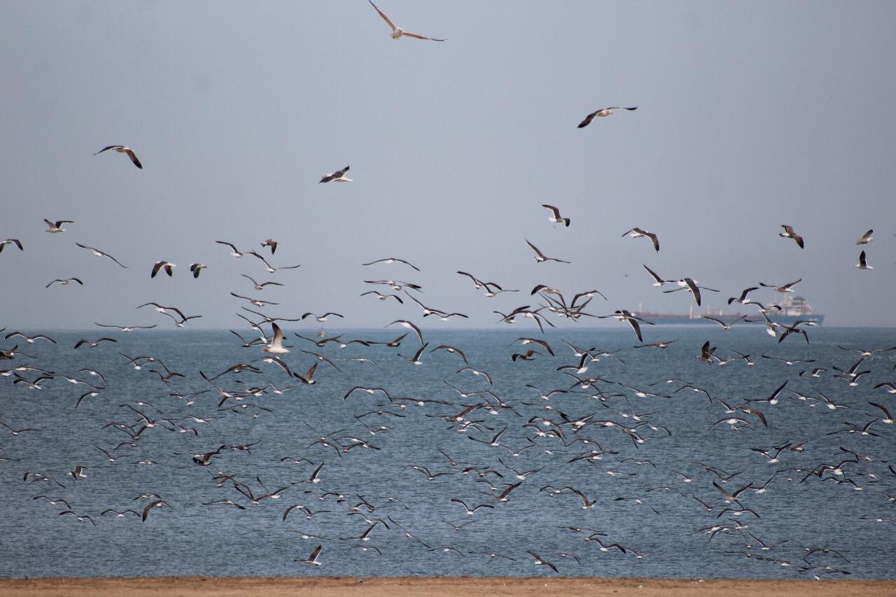 Titre : Le monde nous appartient tous, protégeons sa terre, sa mer, son air !